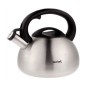 Чайники для плит