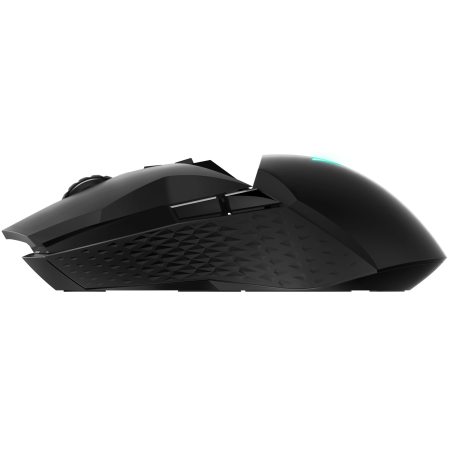 Мышь беспроводная + проводная Rapoo VT950 черный