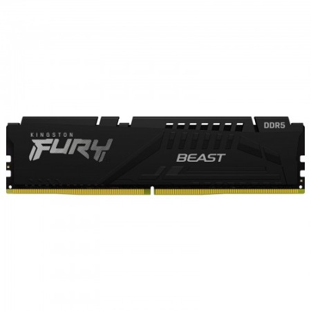 Оперативная память Kingston FURY Beast Black (KF560C40BB-16) 16 ГБ черный