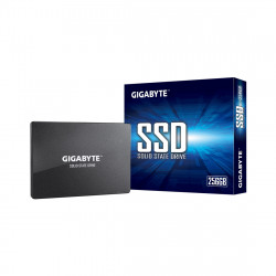 256 ГБ SSD диск Gigabyte GP-GSTFS31256GTND