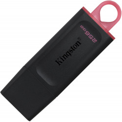 256 Гб USB Флеш-накопитель Kingston DataTraveler Exodia (DTX/256GB) черный
