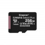 256 ГБ Карта памяти Kingston Canvas Select Plus microSDXC (SDCS2/256GBSP)