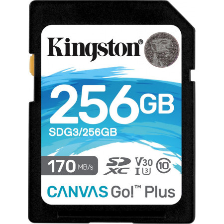 256 ГБ Карта памяти Kingston Canvas Go! Plus SDXC (SDG3/256GB) черный