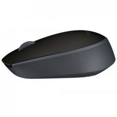 Мышь беспроводная Logitech M171 (910-004424) черный