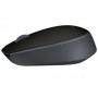 Мышь беспроводная Logitech M171 (910-004424) черный