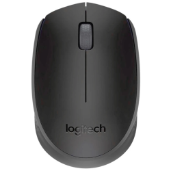 Мышь беспроводная Logitech M171 (910-004424) черный