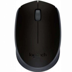 Мышь беспроводная Logitech M171 (910-004424) черный