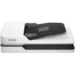Сканер Epson WorkForce DS-1630 (B11B239401) белый