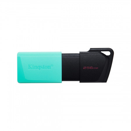 256 ГБ USB Флеш-накопитель Kingston (DTXM/256GB) зеленый