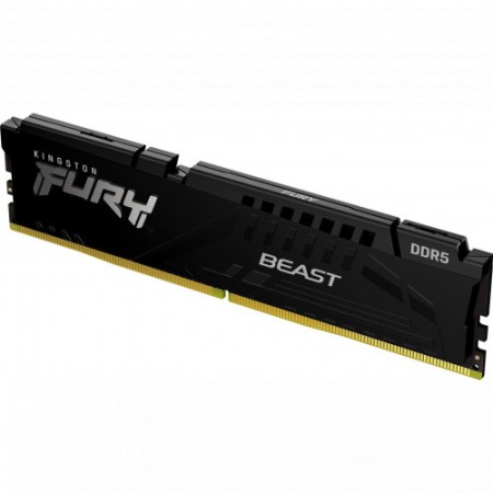 Оперативная память Kingston FURY Beast Black (KF552C40BB-16) 16 ГБ черный