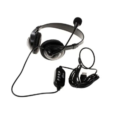 Наушники Ritmix RH-533USB черный