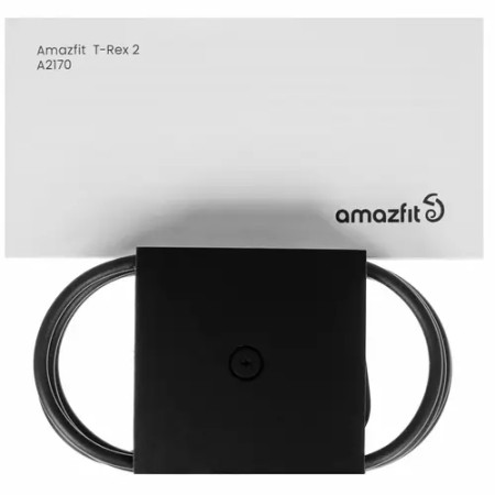 Смарт-часы Amazfit T-Rex 2 (A2170) чёрный (1 ремешок) 47 мм