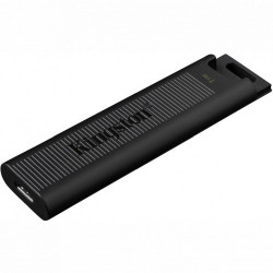 1 ТБ USB Флеш-накопитель Kingston DataTraveler Max (DTMAX/1TB)