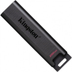 256 ГБ USB Флеш-накопитель Kingston DataTraveler Max (DTMAX/256GB) черный