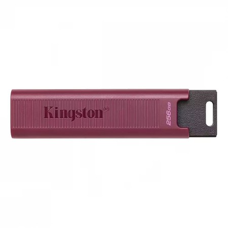 256 ГБ USB Флеш-накопитель Kingston DataTraveler Max (DTMAXA/256GB) красный