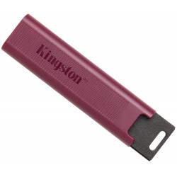 256 ГБ USB Флеш-накопитель Kingston DataTraveler Max (DTMAXA/256GB) коричневый