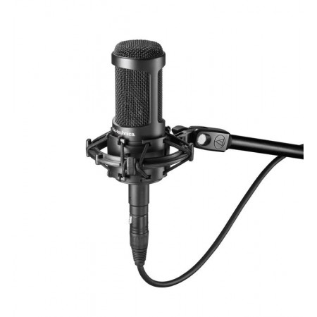 Микрофон Audio-technica AT2050 черный