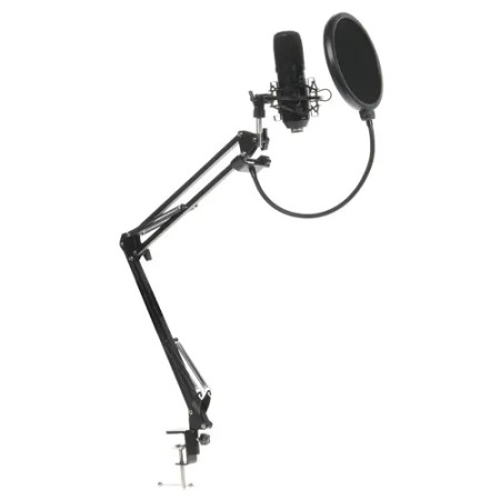 Микрофон Ritmix RDM-169 черный