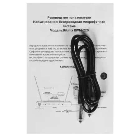 Набор микрофонов RITMIX RWM-220 черный