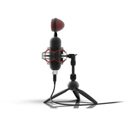 Микрофон Ritmix RDM-230 USB Eloquence черный
