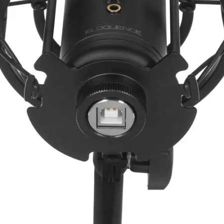 Микрофон Ritmix RDM-260 USB Eloquence черный