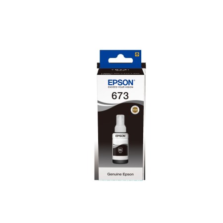 Чернила Epson T6731 (C13T67314A) черный