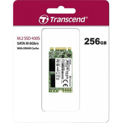 256 ГБ SSD диск Transcend MTS430 (TS256GMTS430S) зеленый