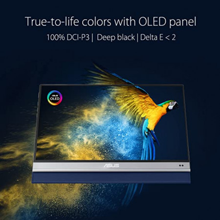 13.3" Монитор ASUS MQ13AH серебристо-черный