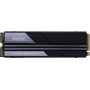 500Gb SSD диск Netac NV5000 (NT01NV5000-500-E4X) черный