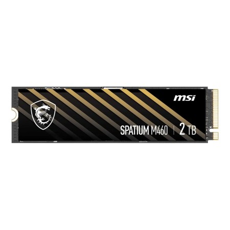 1 ТБ SSD диск MSI SPATIUM M460 (S78-440L930-P83) черный
