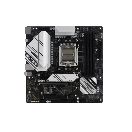Материнская плата Biostar B650M-SILVER белый
