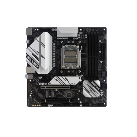 Материнская плата Biostar B650M-SILVER белый