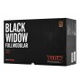 Блок питания 1st Player BLACK WIDOW (PS-700AX) черный