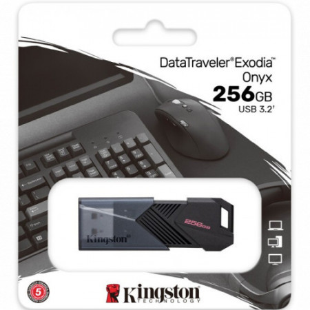 256 ГБ USB Флеш-накопитель Kingston DTXON/256GB черный
