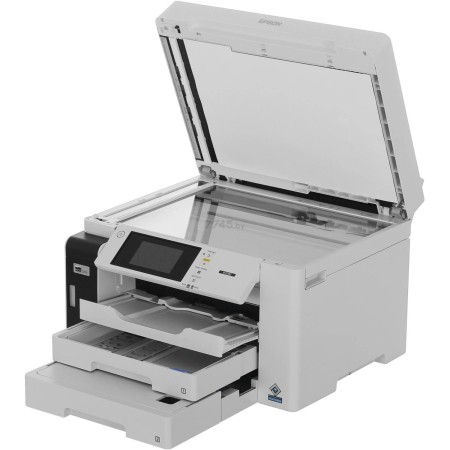 МФУ струйное Epson M15180 (C11CJ41408) черный (без кабеля USB)