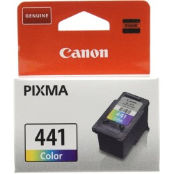Картридж струйный Canon CL-441 (5221B001) многоцветный (с чипом)