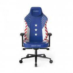 Кресло игровое DX Racer CRA/PRO/BW/America edition (CRA-PR009-BW-H1) бело-синий