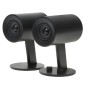 Колонки Razer Nommo Chroma (RZ05-02460100-R3G1) черный