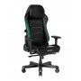 Кресло игровое DXRacer Master (GC/XLMF23LTD/NE) черно-зеленое