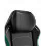 Кресло игровое DXRacer Master (GC/XLMF23LTD/NE) черно-зеленое