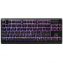Клавиатура проводная SteelSeries Apex 3 TKL (64831) черный