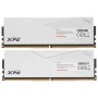 Оперативная память ADATA XPG Lancer (AX5U5600C3616G-DCLAWH) 32 ГБ белый