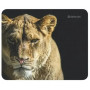 Коврик Defender Wild Animals (50803) разноцветный