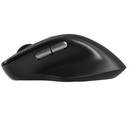 Мышь беспроводная Rapoo M50 Plus Silent чёрный