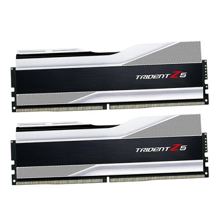 Оперативная память G.Skill TRIDENT Z5 (F5-6000J3040F16GX2-TZ5S) 32 ГБ серый