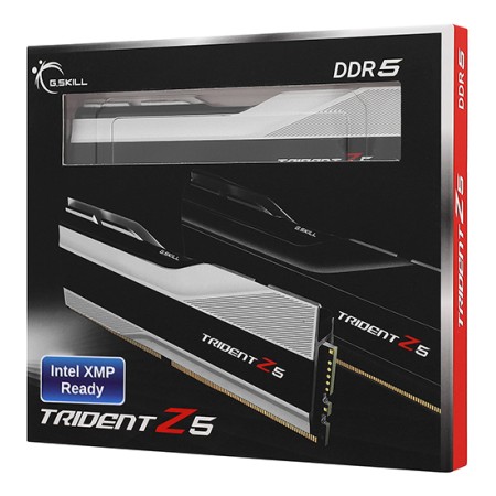 Оперативная память G.Skill TRIDENT Z5 (F5-6000J3040F16GX2-TZ5S) 32 ГБ серый