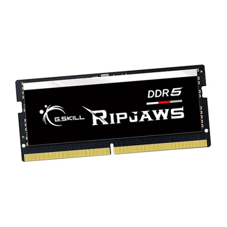 Оперативная память G.Skill RipJaws (F5-5600S4040A16GX1-RS) 16 ГБ черный