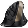 Мышь беспроводная Genius RS2 Ergo 8250S (31030031400) черно-золотистый