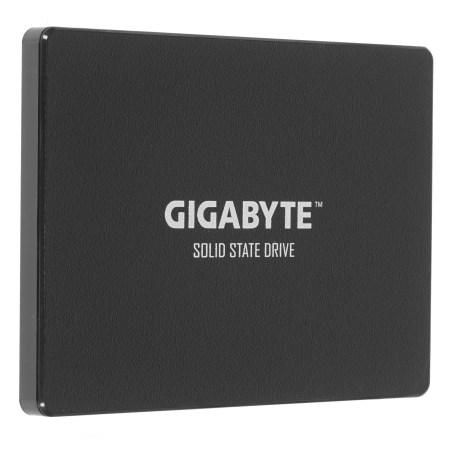 1000 ГБ SSD диск GIGABYTE GP-GSTFS31100TNTD черный