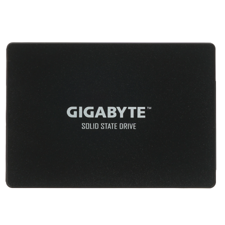 1000 ГБ SSD диск GIGABYTE GP-GSTFS31100TNTD черный